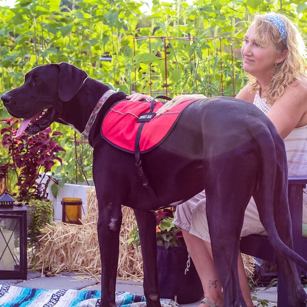 A person with their large service dog is sitting on a patio chair
